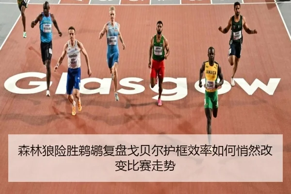 森林狼险胜鹈鹕复盘戈贝尔护框效率如何悄然改变比赛走势